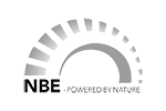 NBE logotipas